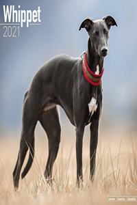 Whippet 2021 Wall Calendar