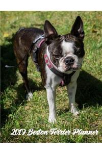 2019 Boston Terrier Planner
