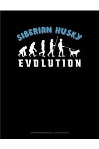 Siberian Husky Evolution