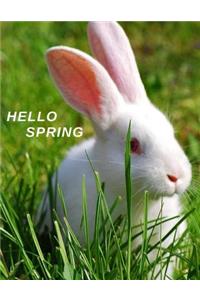 Hello Spring