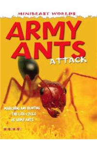 Army Ants Attack