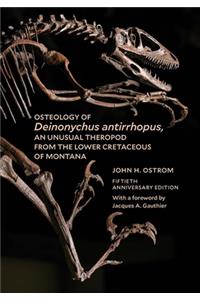 Osteology of Deinonychus Antirrhopus, an Unusual Theropod from the Lower Cretaceous of Montana
