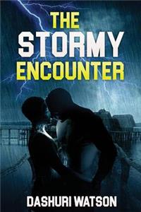 The Stormy Encounter
