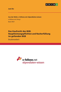 Kaufrecht des BGB. Hauptleistungspflichten und Nacherfüllung im geltenden BGB