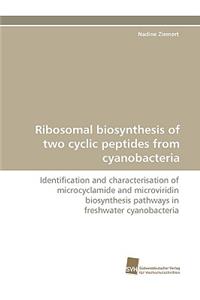 Ribosomal Biosynthesis of Two Cyclic Peptides from Cyanobacteria