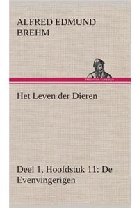 Het Leven der Dieren Deel 1, Hoofdstuk 11