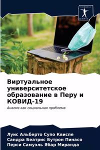 Виртуальное университетское образовани&#