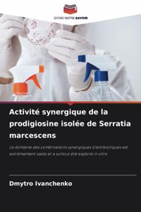 Activité synergique de la prodigiosine isolée de Serratia marcescens