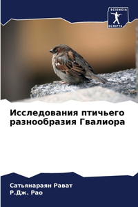 Исследования птичьего разнообразия Гвал&