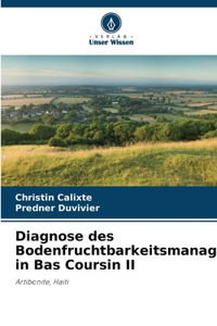 Diagnose des Bodenfruchtbarkeitsmanagements in Bas Coursin II