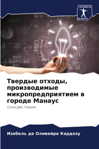 Твердые отходы, производимые микропредпр
