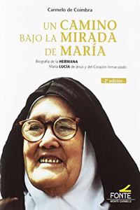 Un camino bajo la mirada de Maria