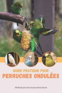 Guide pratique pour perruches ondulées