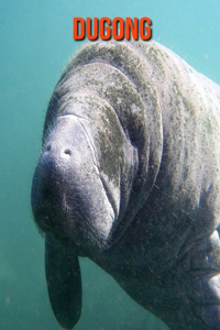Dugong