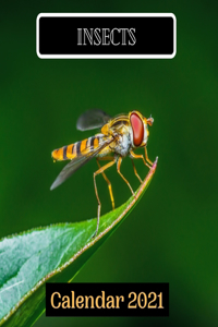 Insects Calendar 2021