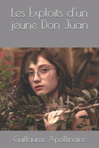 Les Exploits d'un jeune Don Juan