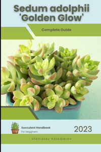 Sedum adolphii 'Golden Glow': Succulent Handbook: Complete Guide to Growing Succulent Plant