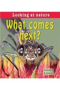 What Comes Next