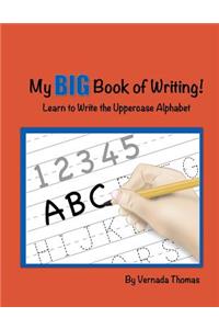 My Big Book of Writing