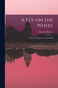 Fly on the Wheel; or, How I Helped to Govern India