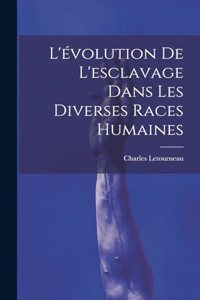 L'évolution De L'esclavage Dans Les Diverses Races Humaines