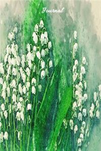 Journal
