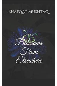 Blossoms From Elsewhere