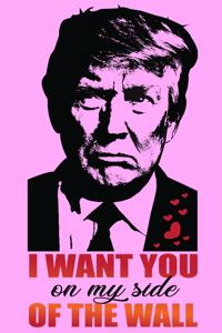 I Want you on my side of the wall