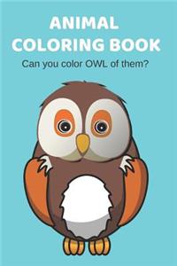 Animal Coloring Book