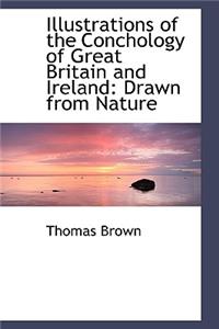 Illustrations of the Conchology of Great Britain and Ireland