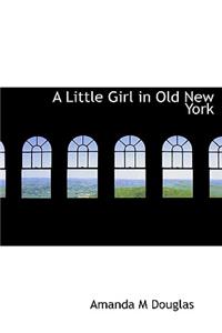 A Little Girl in Old New York