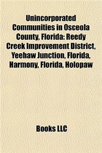 Unincorporated Communities in Osceola County, Florida
