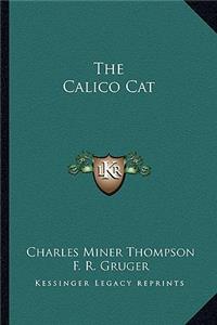 Calico Cat