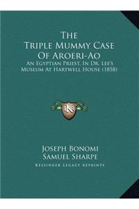 The Triple Mummy Case Of Aroeri-Ao