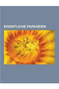 Eigentliche Papageien: Graupapagei, Pennantsittich, Plattschweifsittiche, Wellensittich, Langflugelpapageien, Nachtsittich, Ziegensittich, Ed
