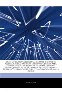 Articles on Trees of Humid Continental Climate, Including: Quercus Rubra, American Chestnut, Quercus Alba, Ulmus Americana, Quercus Palustris, Quercus