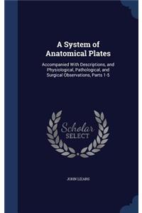 System of Anatomical Plates