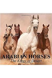Arabian Horses - The Kings of Desert 2017