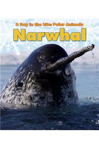 Narwhal