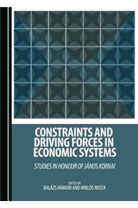 Constraints and Driving Forces in Economic Systems