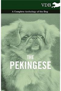 Pekingese - A Complete Anthology of the Dog