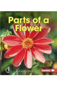Parts of a Flower