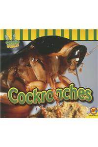 Cockroaches