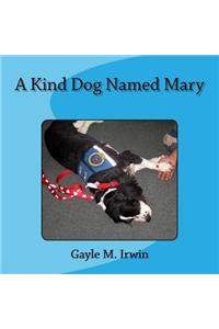 Kind Dog Named Mary