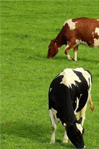 Two Cows in a Meadow Journal