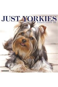 Just Yorkies 2020 Wall Calendar (Dog Breed Calendar)