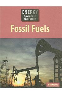 Fossil Fuels