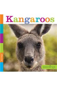 Kangaroos
