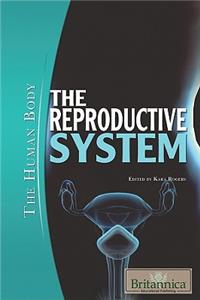 Reproductive System