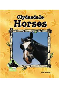 Clydesdale Horses